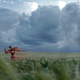 Image for article titled Totally Gorgeous Photos Of Superheroes Spending Time In Nature